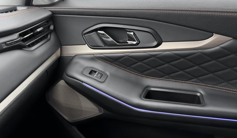 Interior car detailing